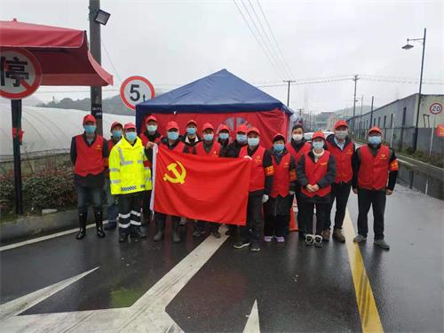 閃耀黨徽，逆行戰(zhàn)“疫”！一次特殊的主題黨日活動(dòng)